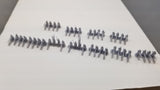 Western Spearmen